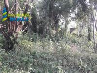 Terreno en venta en Primavera, Poza Rica de Hidalgo — foto 2 de 8