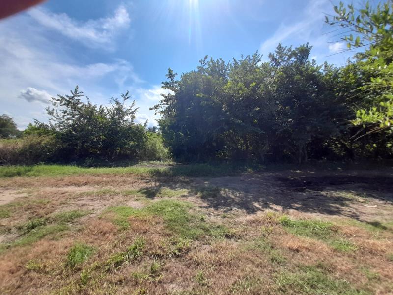 Terreno en venta en Paso Colorado, Boca del Río