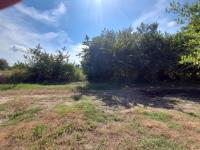 Terreno en venta en Paso Colorado, Boca del Río, Veracruz de Ignacio de la Llave Terreno en venta en Paso Colorado, Boca del Río, Veracruz de Ignacio de la Llave