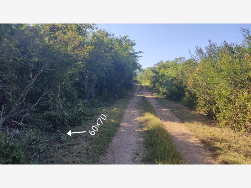 Terreno en venta en Conkal, Conkal — foto 1 de 9