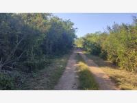 Terreno en venta en Conkal, Conkal — foto 2 de 9