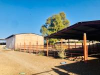 Terreno en venta en Pastor Rouaix, Gómez Palacio — foto 3 de 13