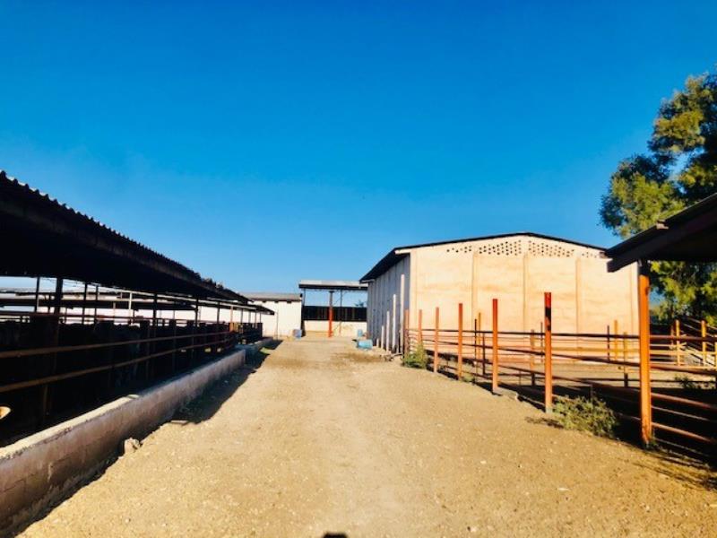 Terreno en Venta en Pastor Rouaix, Gómez Palacio, Durango