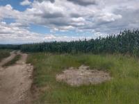 Terreno en venta en La Laborcilla, San Juan del Río — foto 2 de 16