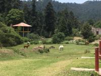 Terreno en venta en Mineral del Monte Centro, Mineral del Monte — foto 3 de 9