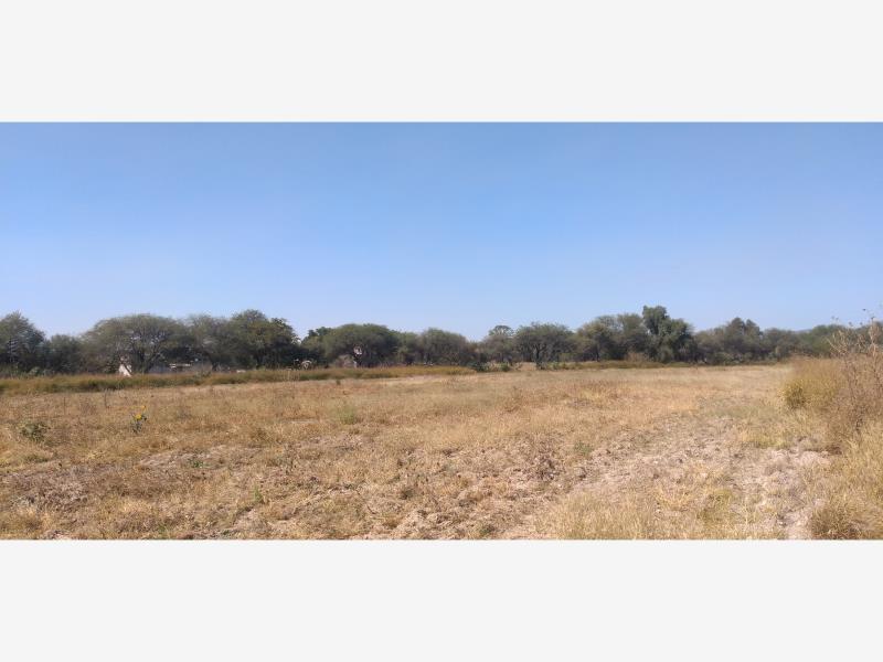 Terreno en venta en Centro, San Juan del Río — foto 1 de 19