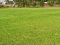 Terreno en venta en Acapatzingo, Cuernavaca — foto 2 de 6