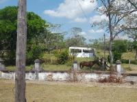 Finca-Rancho en venta en Fernando López Arias, Cosamaloapan de Carpio — foto 2 de 17