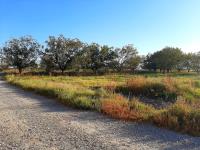 Terreno en venta en Paso del Aguila, Torreón, Coahuila de Zaragoza