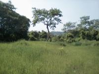 Terreno en venta en Rancho Nuevo, Tihuatlán — foto 3 de 11
