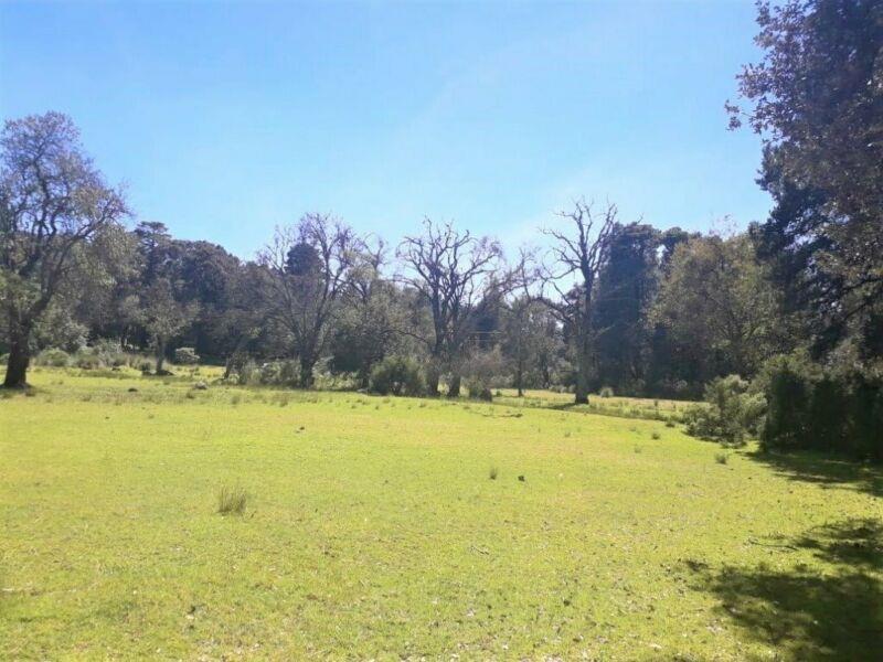Terreno en venta en La Camelia, Tuxpan — foto 1 de 3