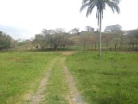 Terreno en venta en La Camelia, Tuxpan — foto 3 de 3