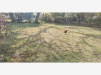 Terreno en venta en La Aguada, Alvarado — foto 3 de 8