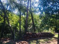 Terreno en venta en Santiago Centro, Santiago — foto 3 de 18