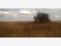 Terreno en venta en Aculco de Espinoza, Aculco — foto 2 de 12