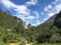 Terreno en venta en Los Lirios, Arteaga — foto 3 de 11