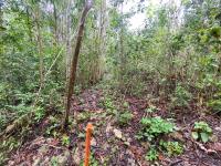 Terreno en venta en Yaxché, Tulum — foto 2 de 9