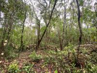 Terreno en venta en Yaxché, Tulum — foto 3 de 9
