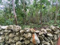 Terreno en venta en Yaxché, Tulum — foto 2 de 11