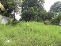 Terreno en venta en Paso Colorado, Medellín de Bravo — foto 3 de 4
