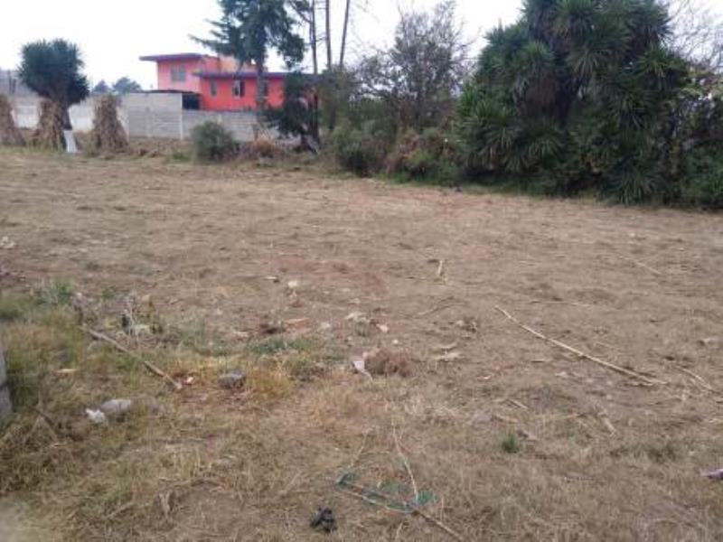 Terreno en venta en La Candelaria Tlapala, Chalco, México