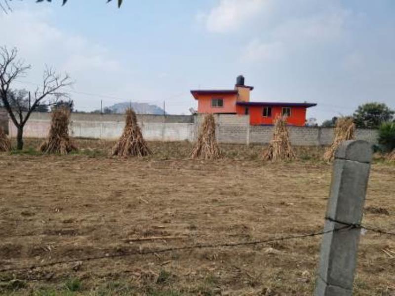 Terreno en venta en La Candelaria Tlapala, Chalco, México