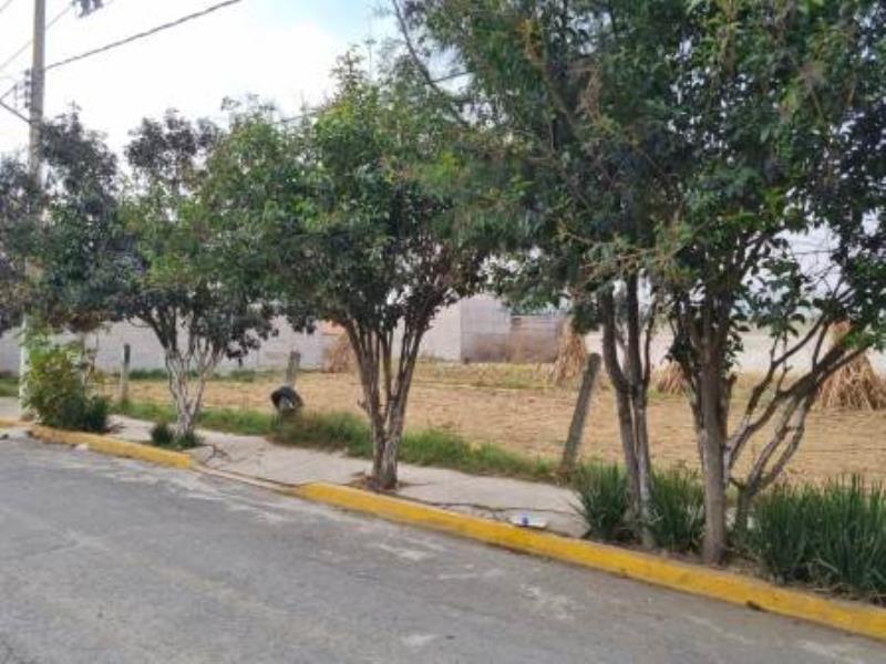 Terreno en venta en La Candelaria Tlapala, Chalco, México