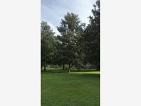Terreno en venta en 10 de Mayo, Coatepec — foto 2 de 5