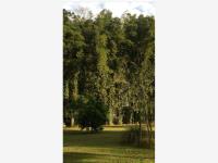Terreno en venta en 10 de Mayo, Coatepec — foto 3 de 5