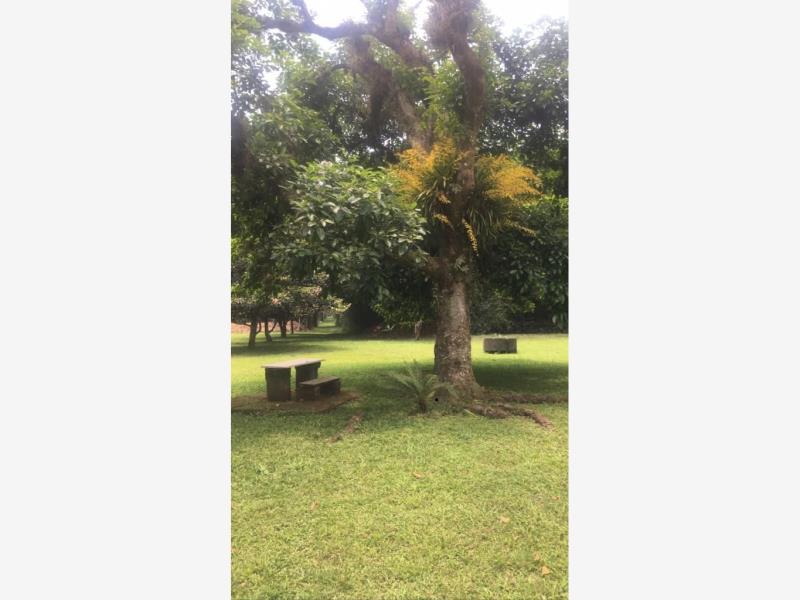 Terreno en venta en 10 de Mayo, Coatepec — foto 1 de 5