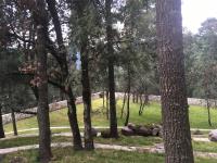 Terreno en venta en Casas Quemadas, Mineral del Monte — foto 3 de 57
