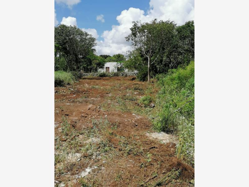 Terreno en venta en Baca, Baca — foto 1 de 4