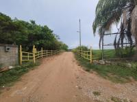 Terreno en venta en Ejido Villa Cuahutemoc, Pueblo Viejo — foto 2 de 36