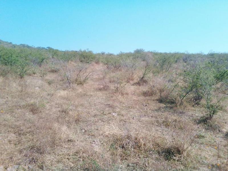 Terreno en venta en Residencial Lomas de Tejeda, Tlajomulco de Zúñiga