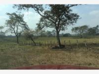 Finca-Rancho en venta en El Zacatal, Jamapa — foto 2 de 8