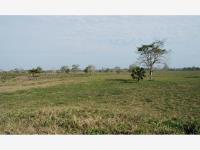 Finca-Rancho en venta en El Zacatal, Jamapa — foto 3 de 8