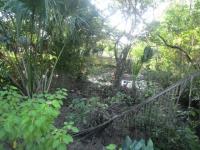 Terreno en venta en Vainilla Tonameca, Santa María Tonameca — foto 2 de 5