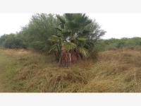 Terreno en venta en Bugambilias, Montemorelos — foto 3 de 10
