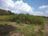 Terreno en venta en Pluma de Oro, Tuxtla Gutiérrez — foto 2 de 2