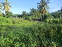 Terreno en venta en Vainilla Tonameca, Santa María Tonameca — foto 2 de 14