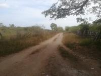 Finca-Rancho en venta en Tolome, Paso de Ovejas — foto 3 de 19