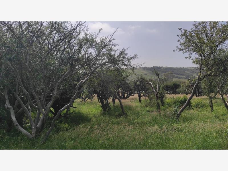 Terreno en venta en Balvanera Polo y Country Club, Corregidora