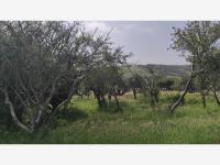 Terreno en Balvanera Polo y Country Club, Corregidora, Querétaro