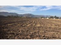 Terreno en venta en Alvaro Obregon, Lerdo — foto 2 de 5