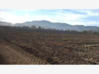Terreno en venta en Alvaro Obregon, Lerdo — foto 3 de 5