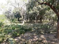 Terreno en venta en Guatemalita, Arriaga — foto 3 de 12