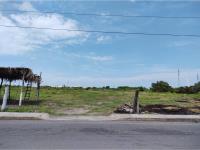 Terreno en renta en Playa de Vacas, Medellín de Bravo — foto 2 de 8
