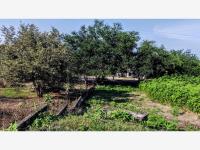 Terreno en venta en Tequesquitengo, Jojutla — foto 2 de 15