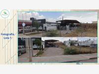 Terreno en venta en Rioverde Centro, Rioverde — foto 2 de 6