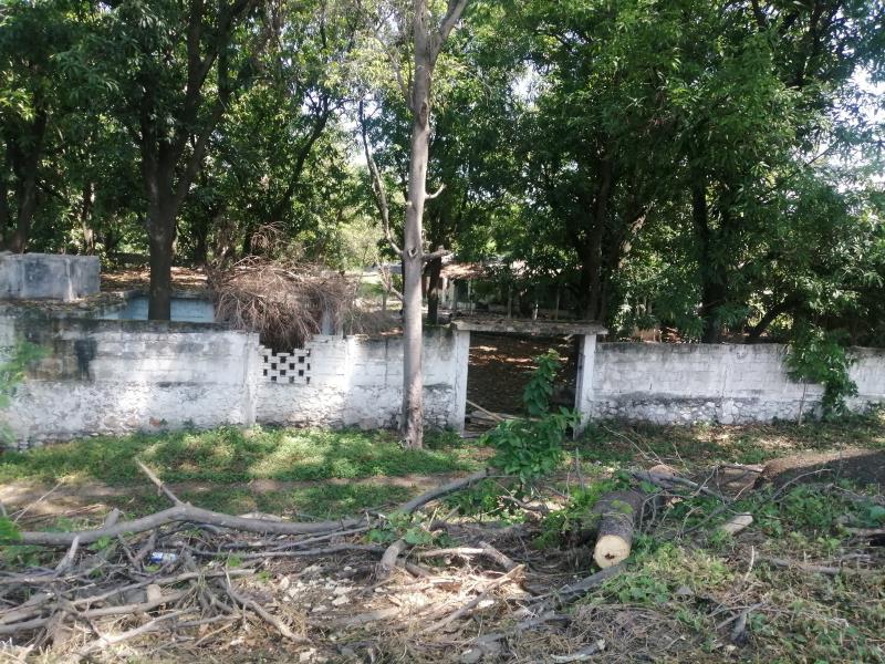 Terreno en venta en Puente de Ixtla Centro, Puente de Ixtla — foto 1 de 7